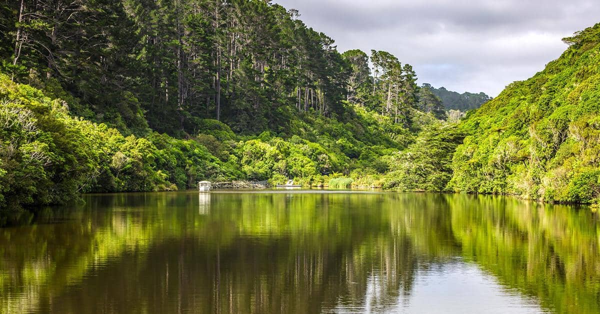 New Zealand is home to a number of sanctuaries open to the public. Image credit: Chris Smith731/iStock