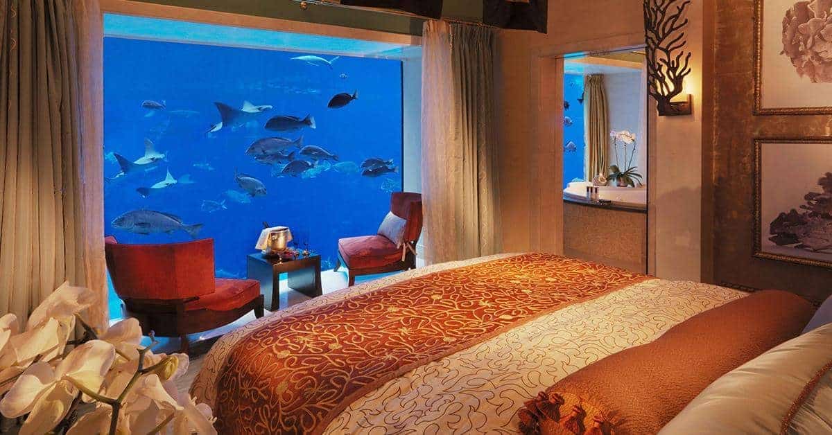 let the peaceful aquarium featured in the Underwater Suites calm your mind.