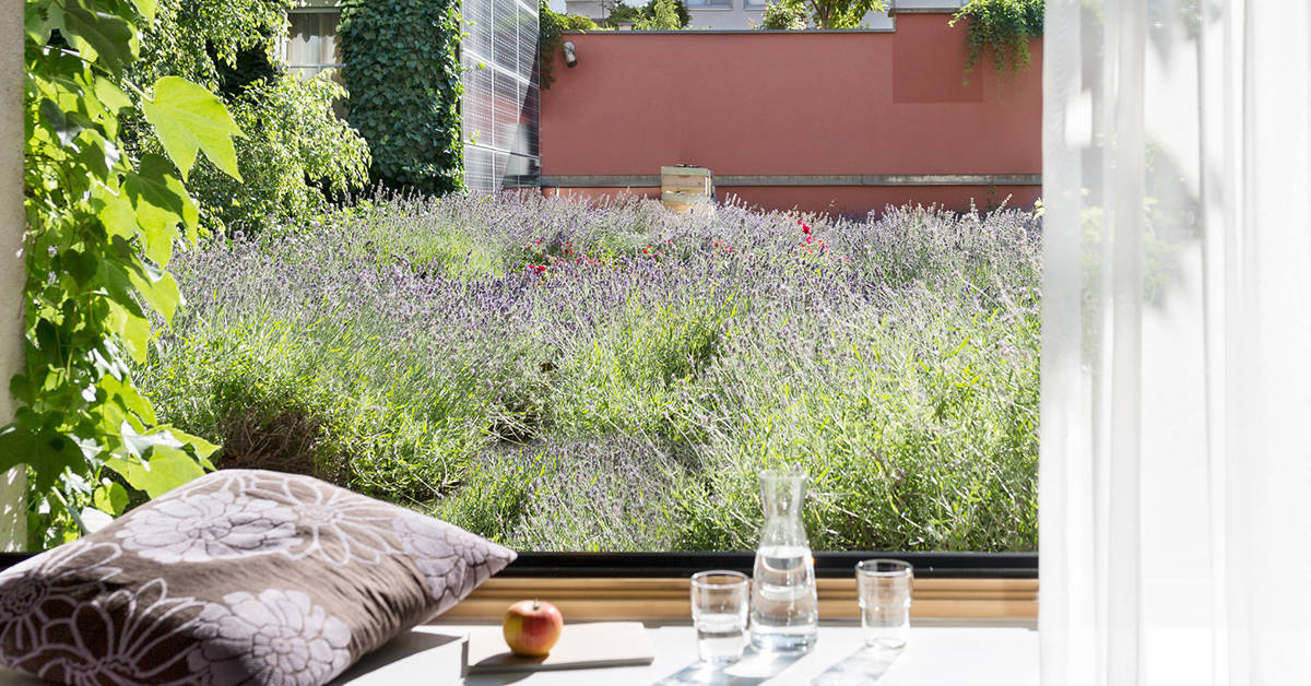 Enjoy the beautiful lavender gardens at this Vienna boutique hotel. Image credit: Tina Herzl / Boutiquehotel Stadthalle