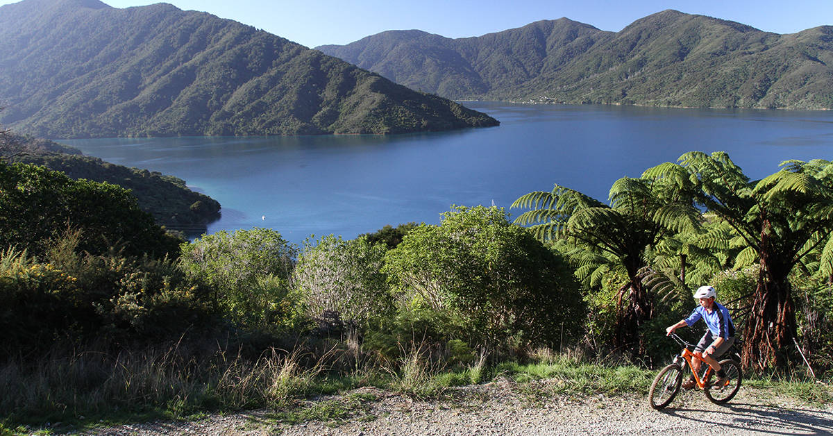 The Queen Charlotte Track in New Zealand is open to both hikers and cyclists. Image credit: The Marlborough Lodge