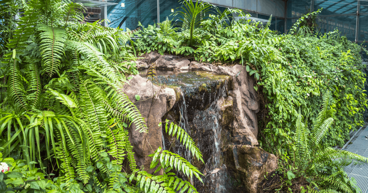 Singapore Changi Airport is home to a number of lush gardens. Image credit: picturist