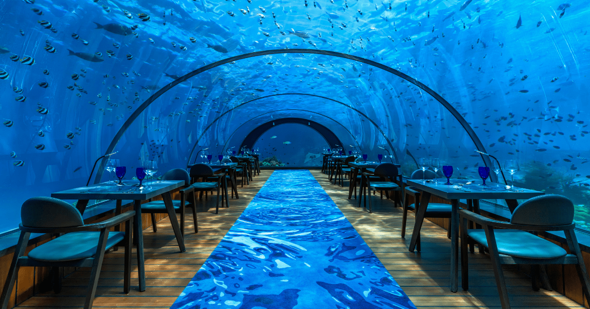 Enjoy luxurious meals in an underwater setting. Image credit: 5.8 Undersea Restaurant at Hurawalhi 