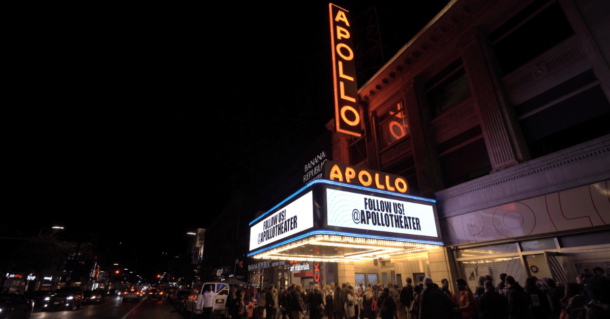Apollo. Image credit: Sanden Wolff Productions