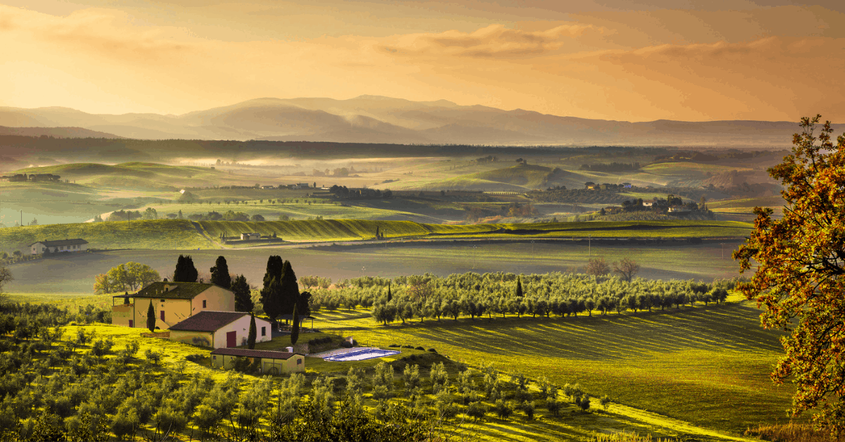 A vineyard in the Chianti region of Tuscany. Image credit: StevanZZ/iStock