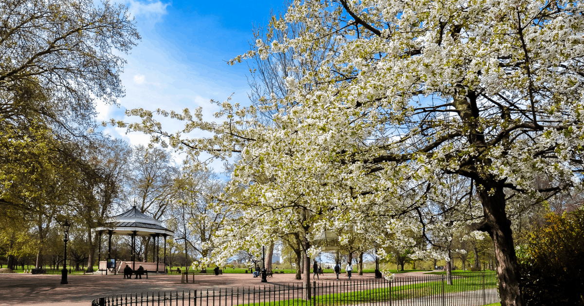 Spring in Hyde Park. Image credit: Vladislav Zolotov/iStock