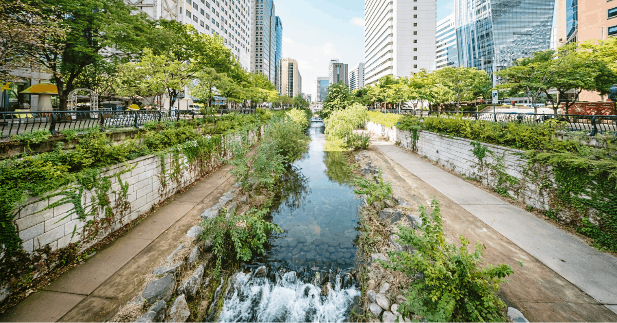 The Seoul Cheonggyecheon Stream in South Korea. Image credit: Mlenny/iStock