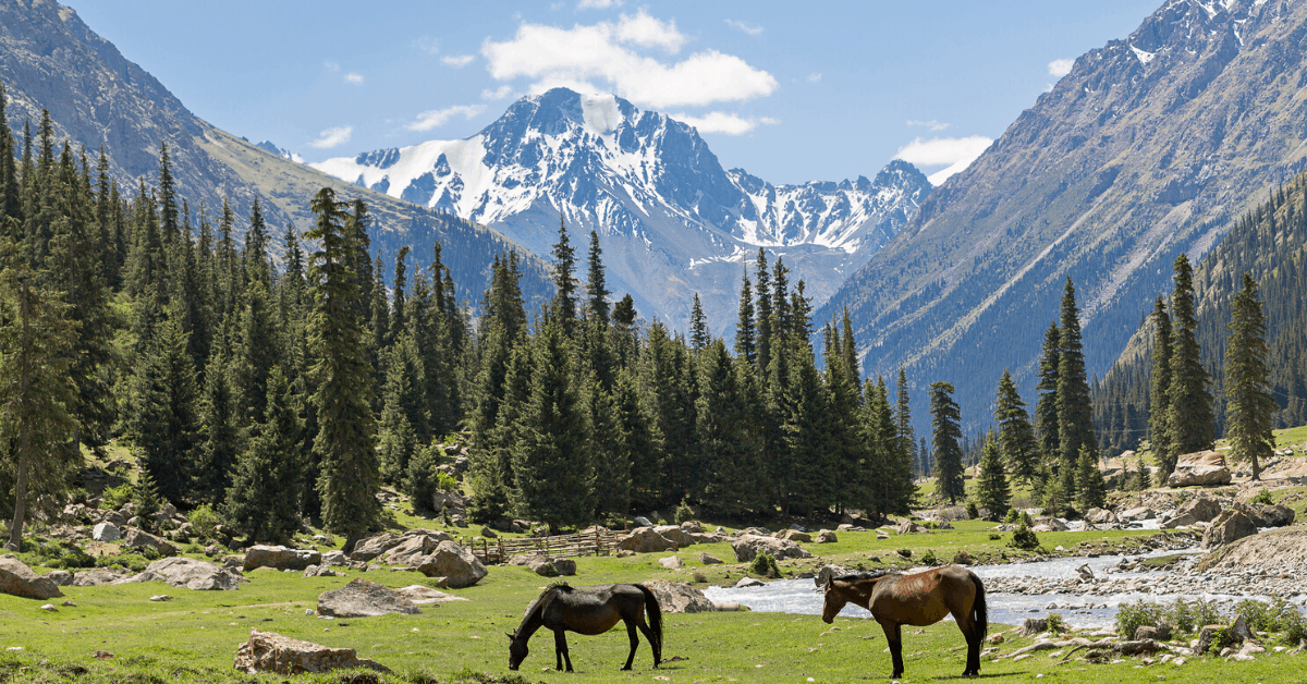 Mountain view in Kyrgyzstan. Image credit: Ozbalci/iStock