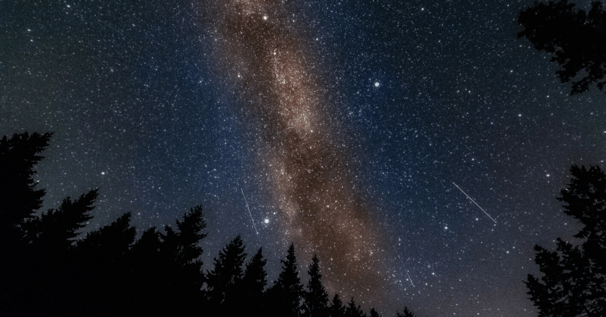 Milky way over Kielder Forest, Northumberland. Image credit: Mark Bromham/iStock