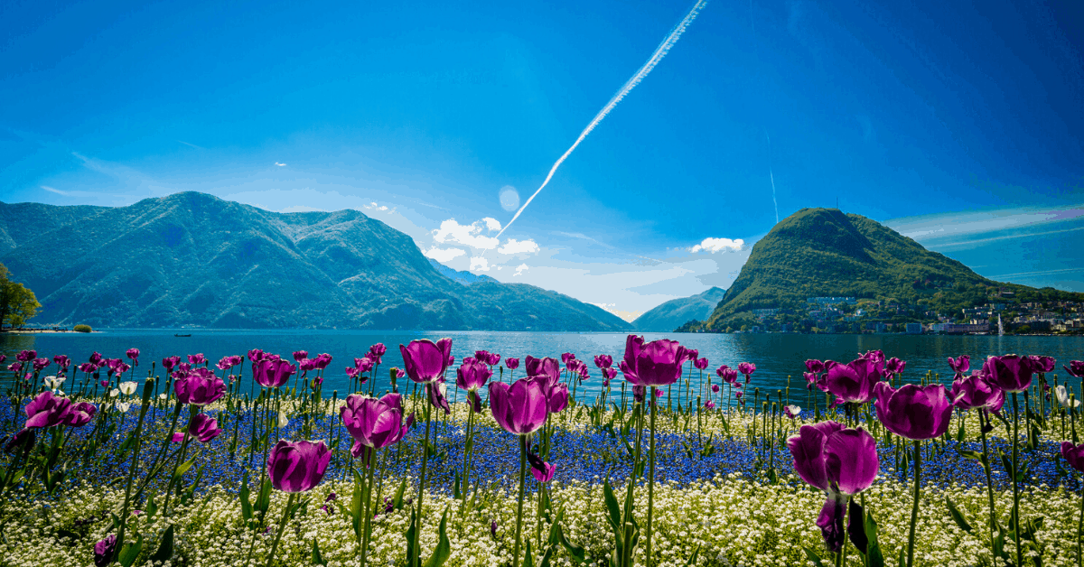 Tulips in Lugano, Switzerland. Image credit: advjmneto/iStock
