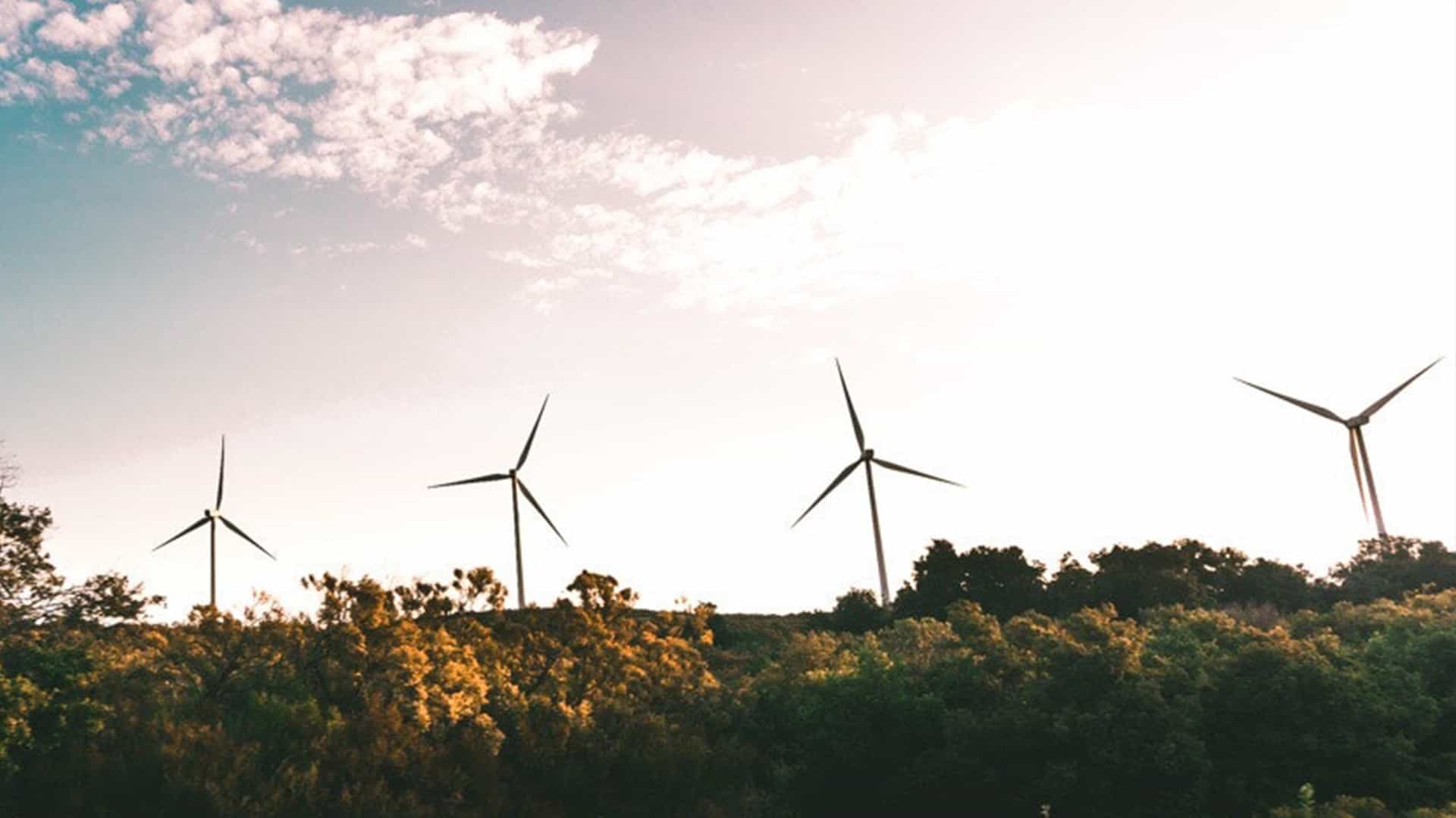 Blacklane invests in a wind farm in India.