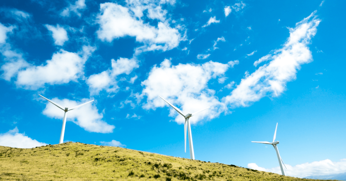 A wind farm is an example of a carbon-offset company. Image credit: Tim Foster/Unsplash