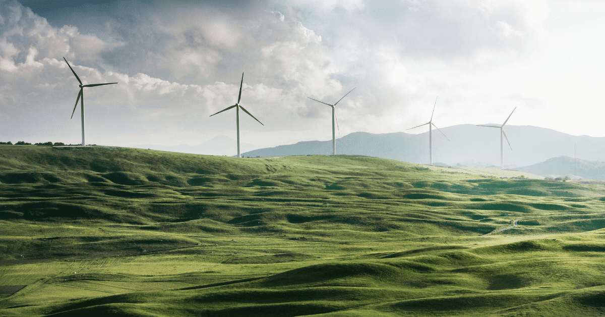 Wind farms are popular carbon offset projects. Image credit: Appolinary Kalashnikova/Unsplash