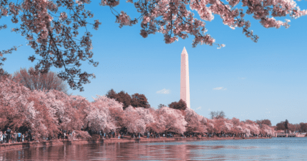The Washington Monument in Washington, DC. Image credit; Andy He/Unsplash