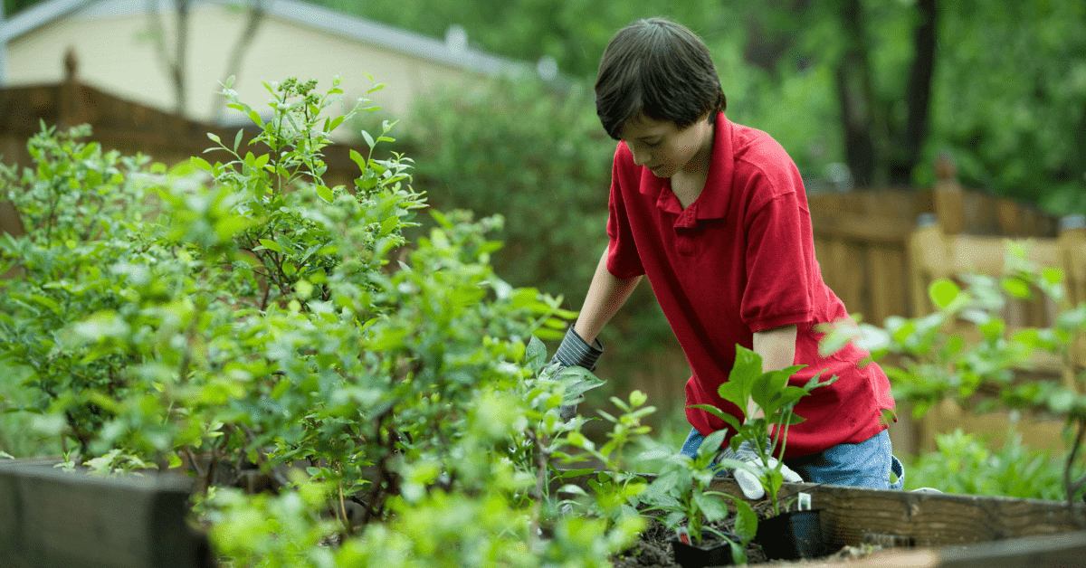 Woman doing gardening