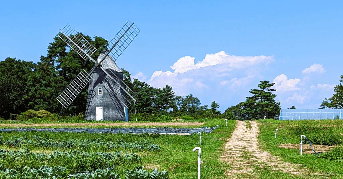 a windmill in the middle of a green field.