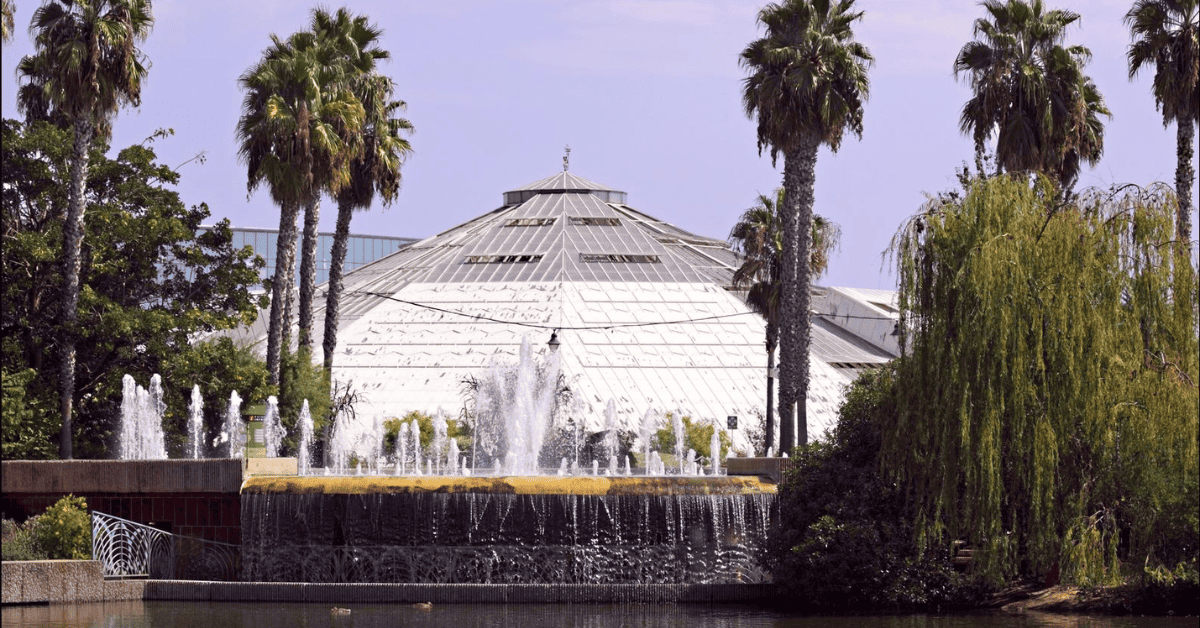 a pond with a fountain surrounded by palm trees.