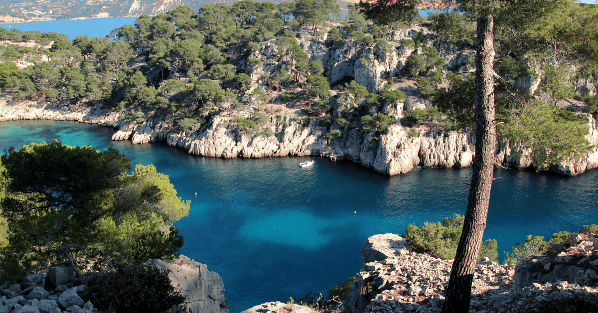 a body of water surrounded by trees and rocks.