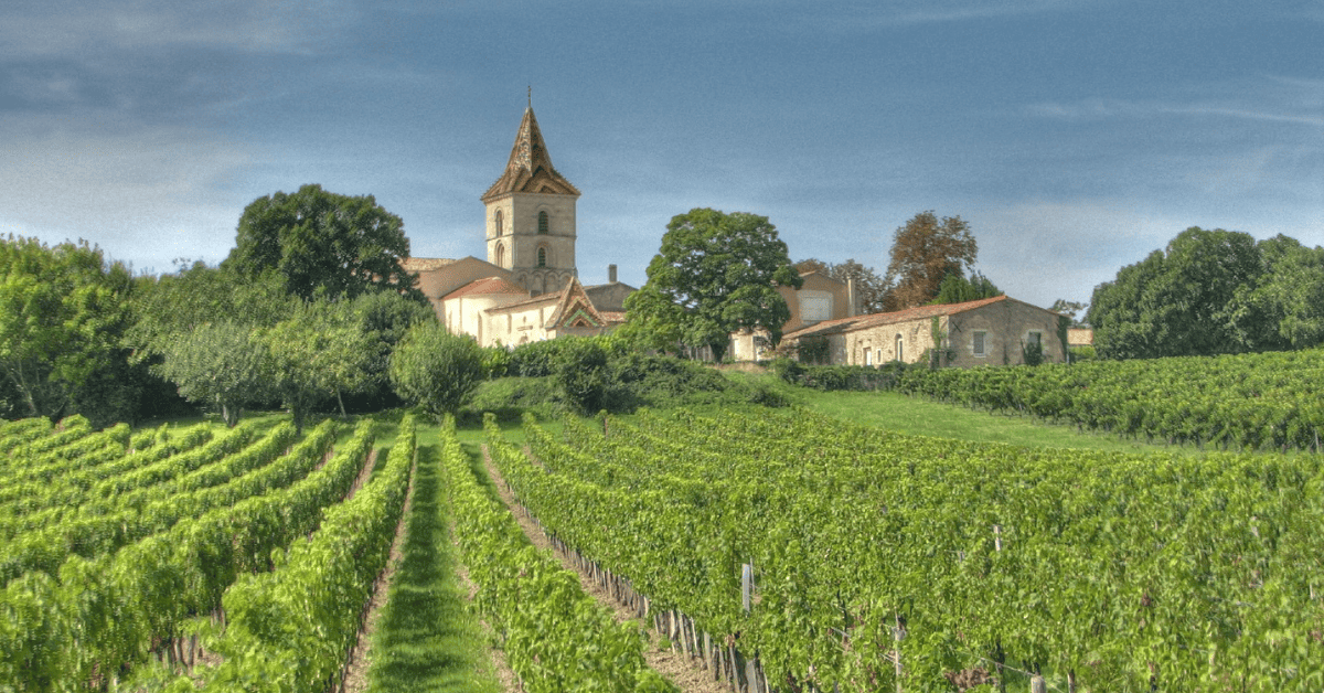 French vineyards in the Bordeaux wine region.