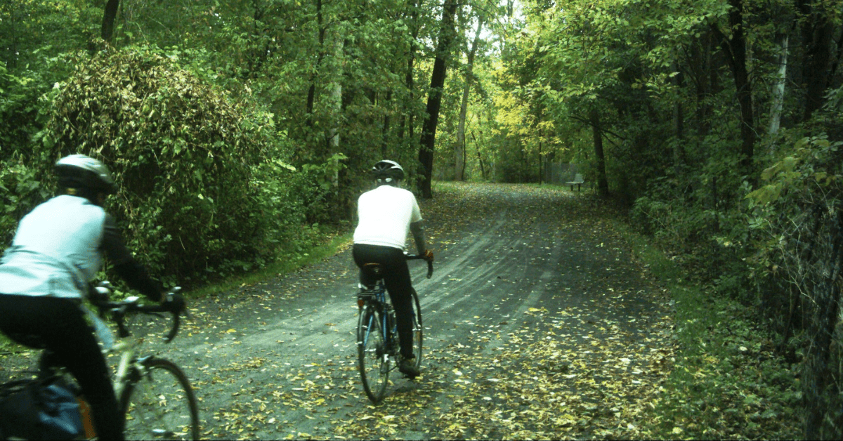 Two people riding bicycles down a dirt road in the woods.