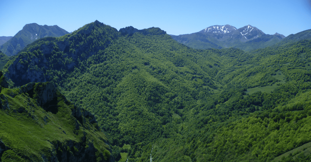 A view of a green valley with mountains in the background.