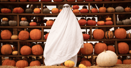 a person in a white sheet with sunglasses standing in front of pumpkins