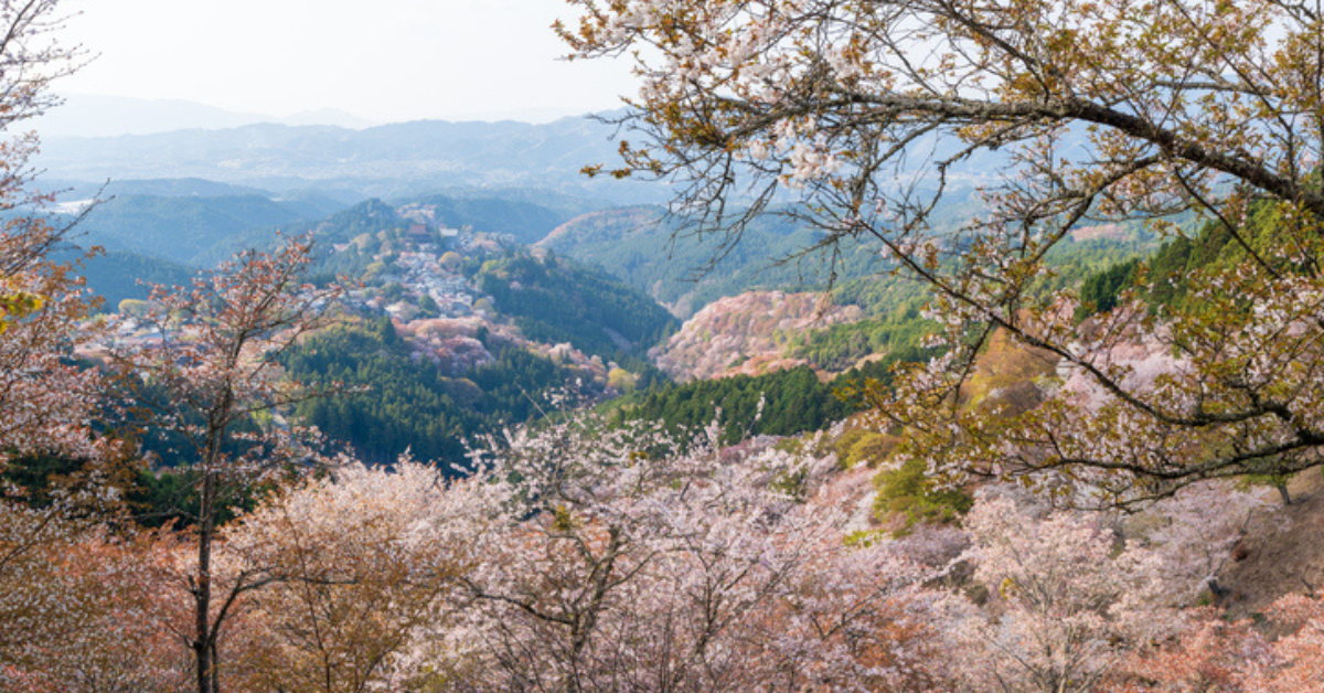 A picturesque mountain landscape during springtime: blossoming cherry trees in the foreground, a quaint village nestled among green and brown hills in the middle ground, and layers of mountains under a clear sky in the background. The overall mood is tranquil and awe-inspiring.