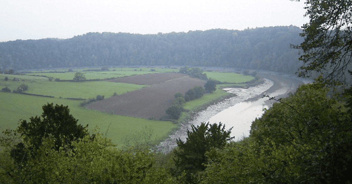 A scenic view of a winding river surrounded by lush green and brown fields, bordered by dense forests under a cloudy sky.